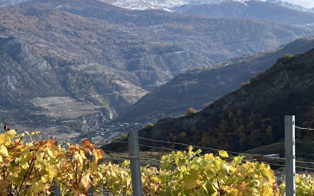 Zwitserland, Valais, Sion