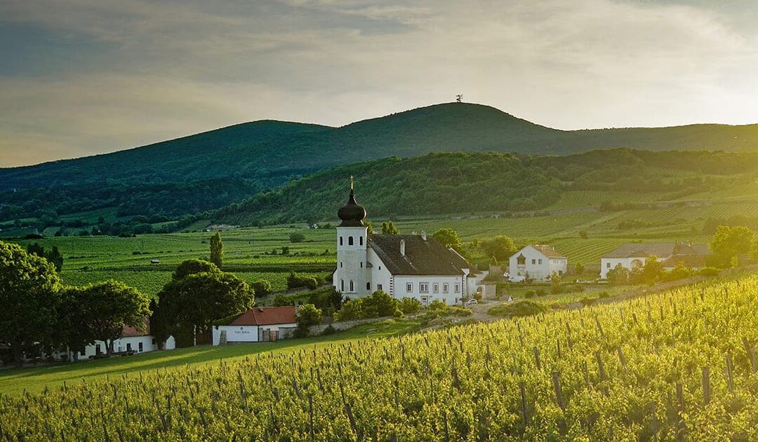 Oostenrijk, Themenregion, Gumpoldskirchen